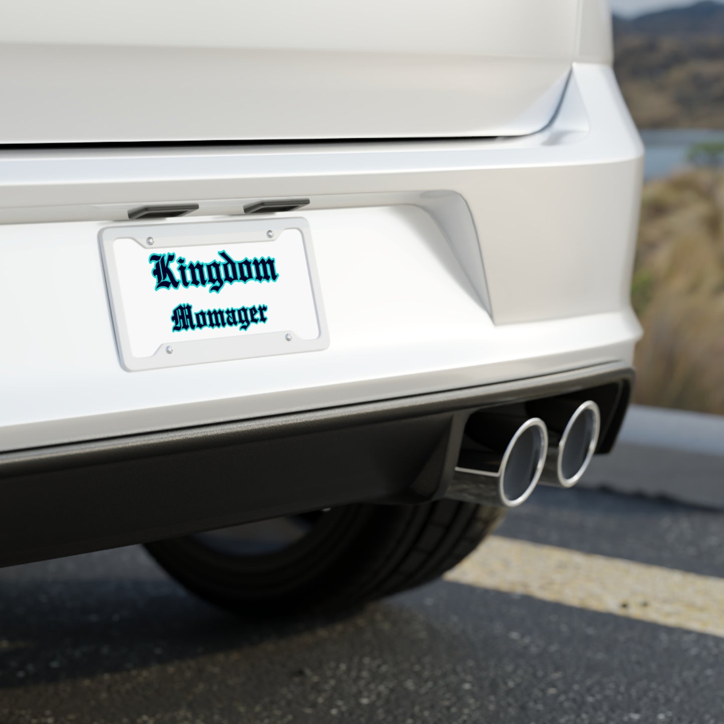 License Plate