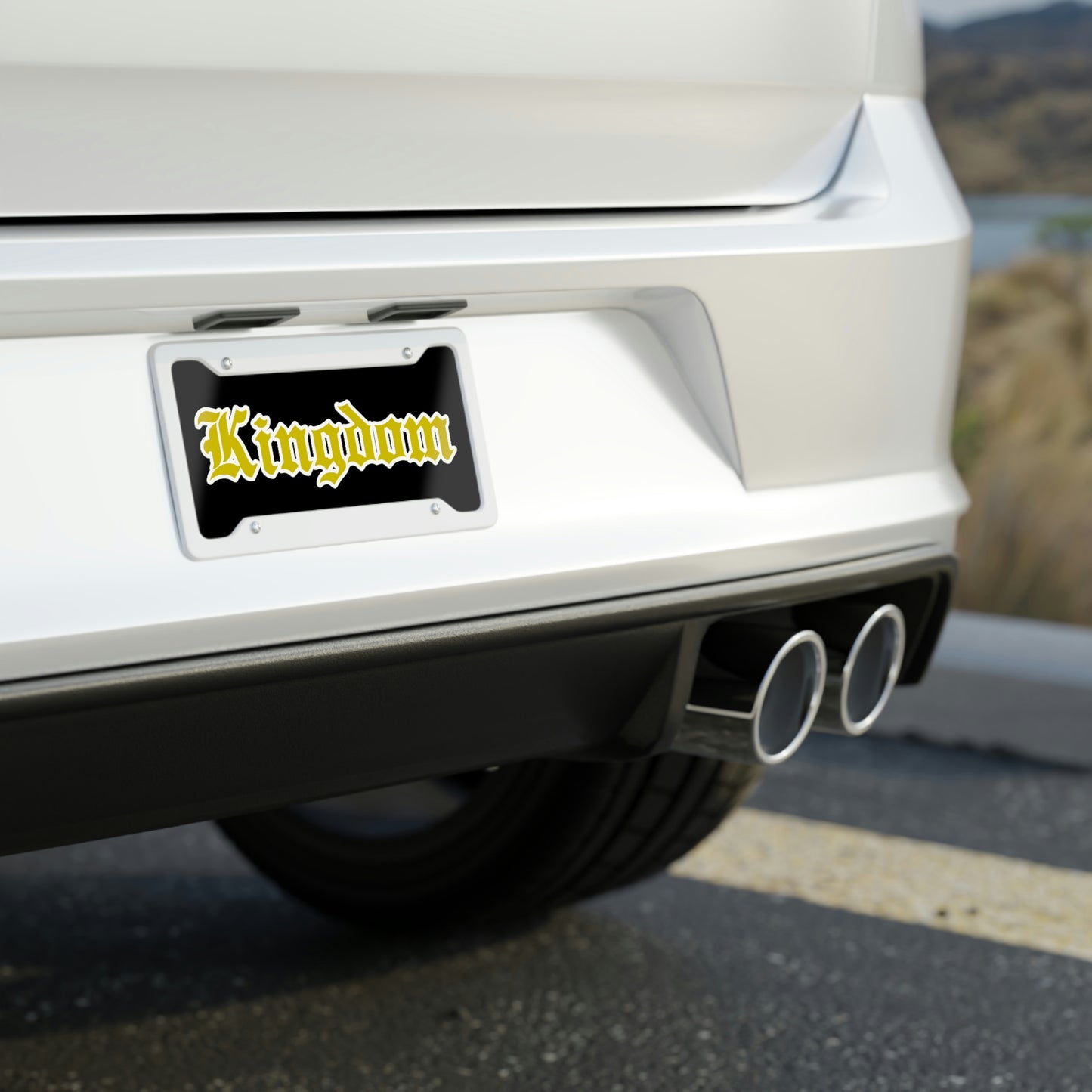 License Plate